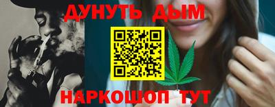 сатива Краснознаменск