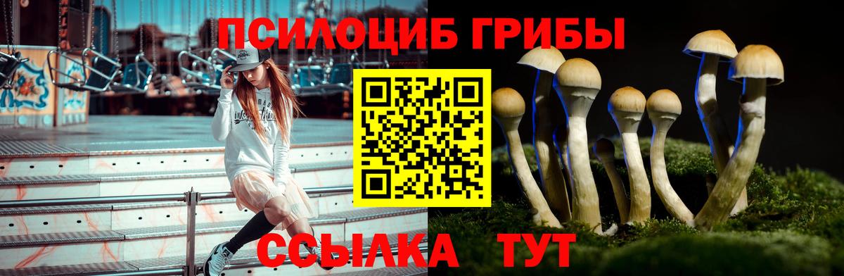 Галлюциногенные грибы прущие грибы Ишимбай